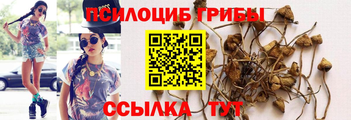 Галлюциногенные грибы мицелий Азов